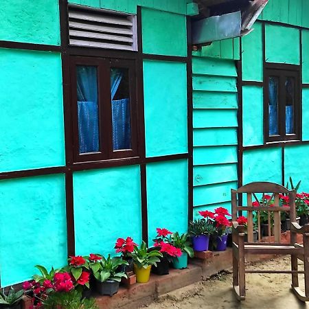 Live In Nature Darjeeling  Exterior foto