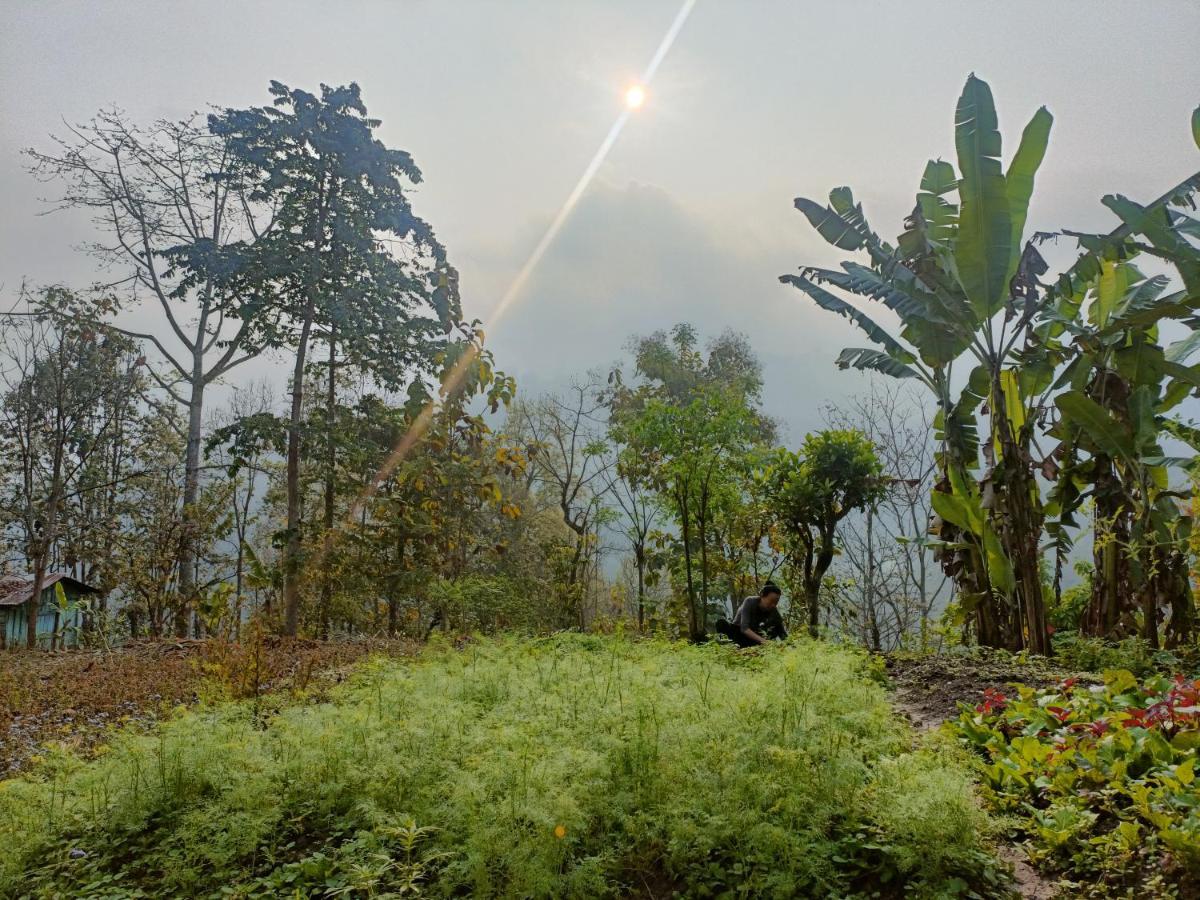Live In Nature Darjeeling  Exterior foto