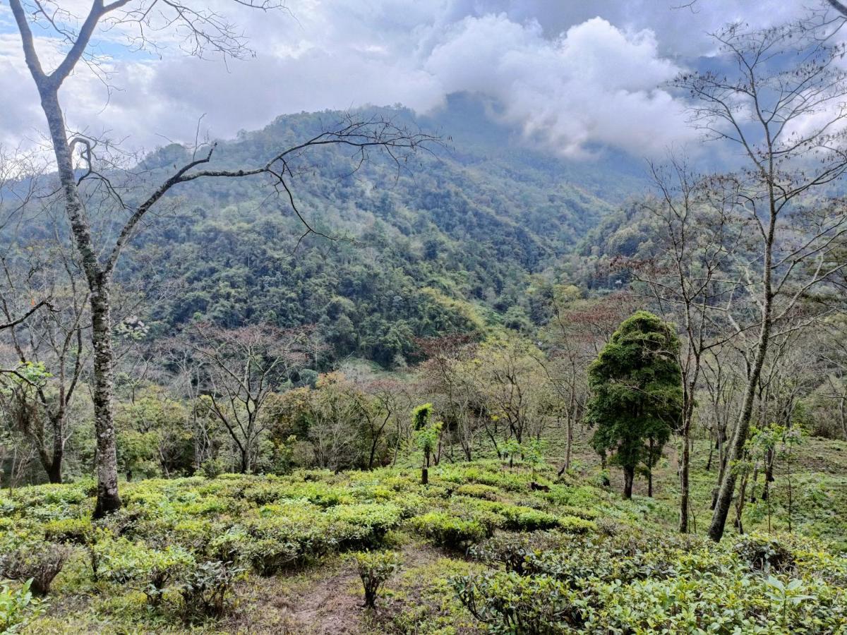 Live In Nature Darjeeling  Exterior foto