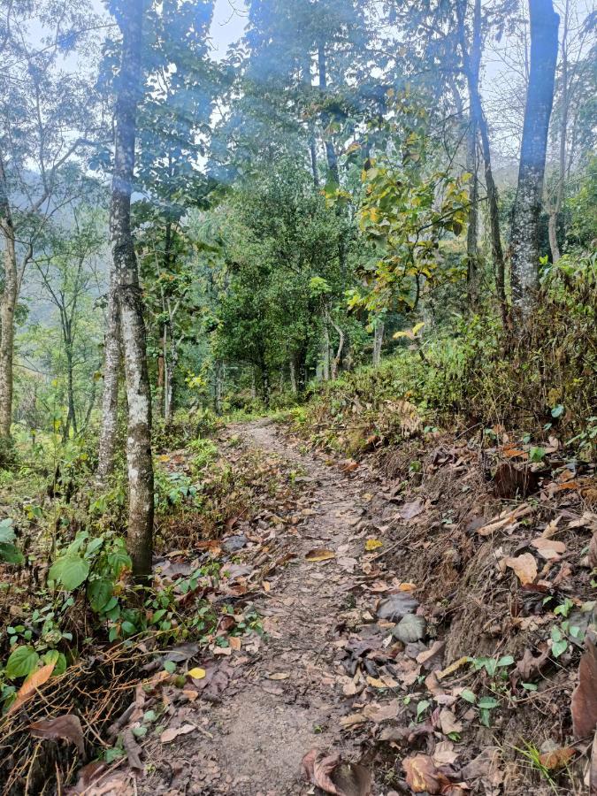 Live In Nature Darjeeling  Exterior foto
